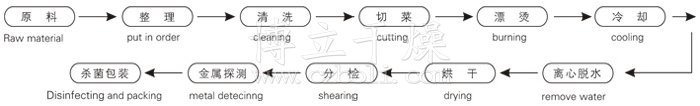 脱水蔬菜带式干燥工艺流程